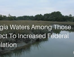 Georgia Waters Among Those Subject To Increased Federal Regulation